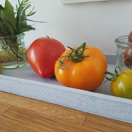 Webergarten Oestrich-Winkel Esterno foto