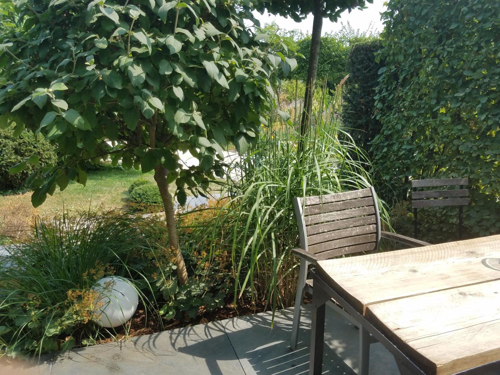 Webergarten Oestrich-Winkel Camera foto