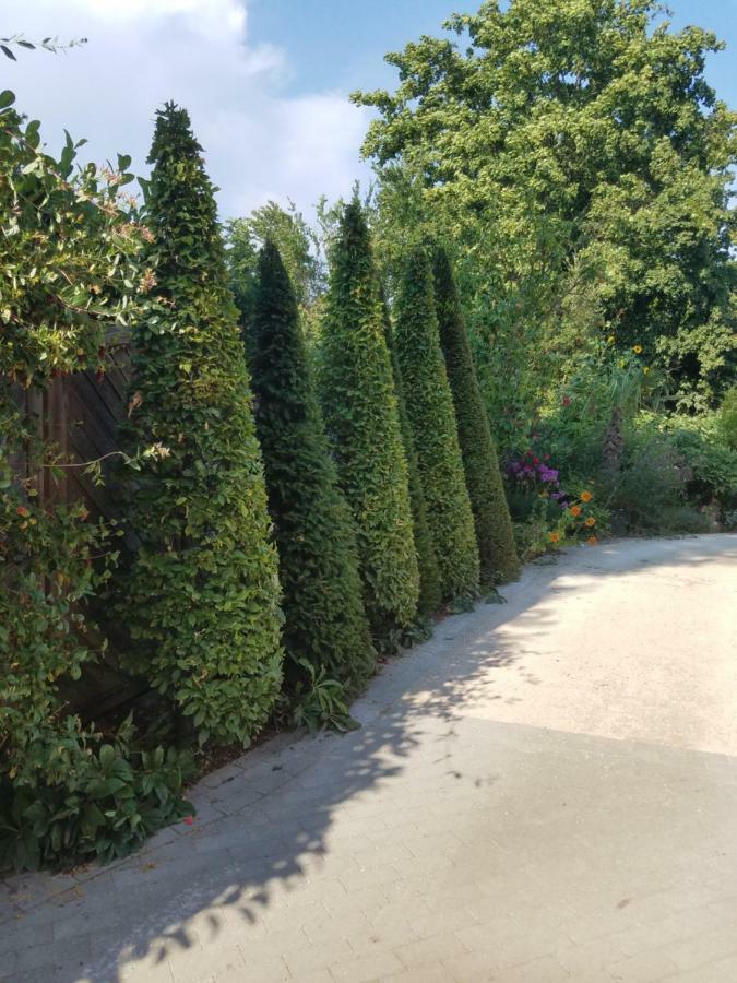 Webergarten Oestrich-Winkel Esterno foto