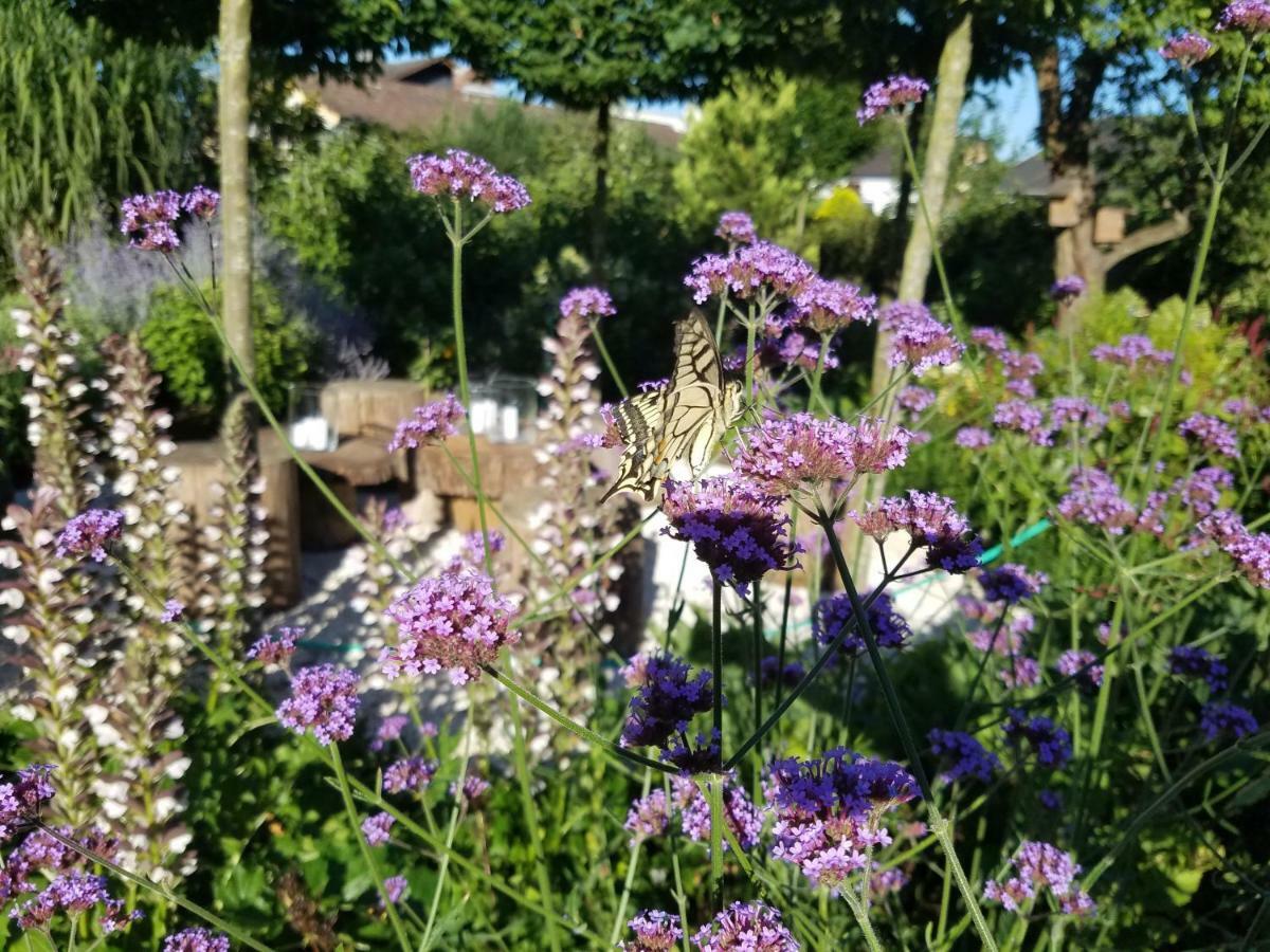 Webergarten Oestrich-Winkel Esterno foto