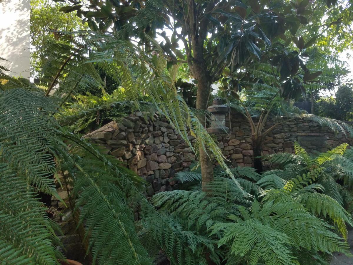 Webergarten Oestrich-Winkel Esterno foto