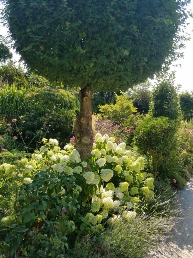 Webergarten Oestrich-Winkel Esterno foto
